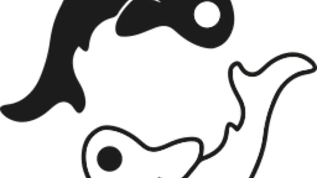 宣传原画 图片