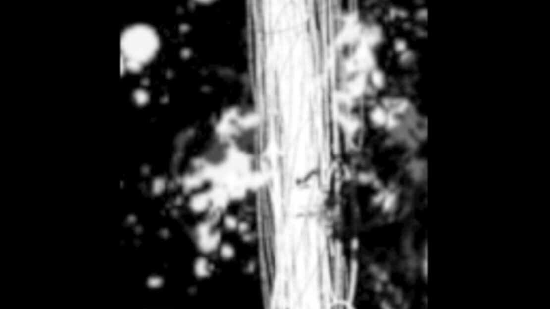 宣传原画 图片