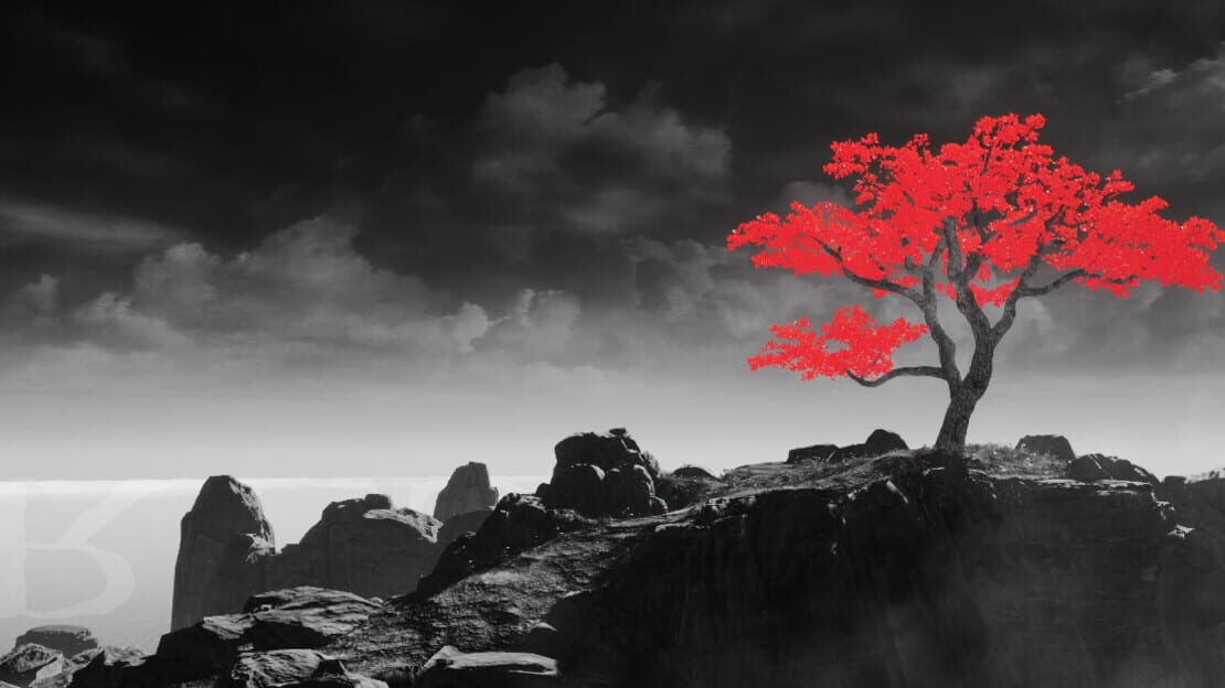 宣传原画 图片