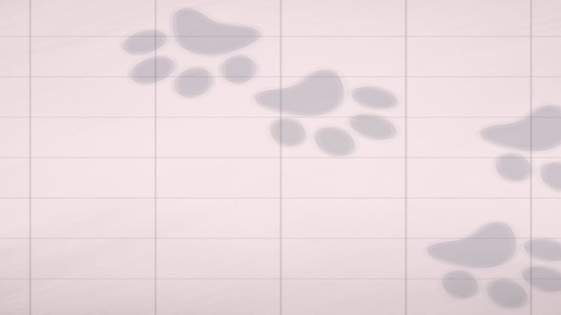 宣传原画 图片
