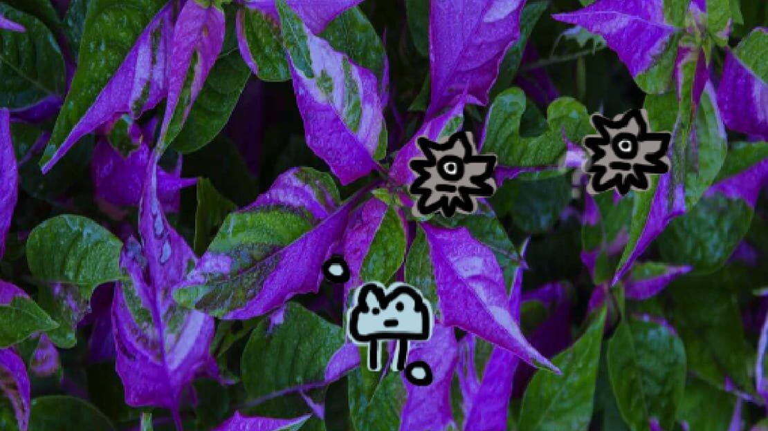 游戏截图 图片