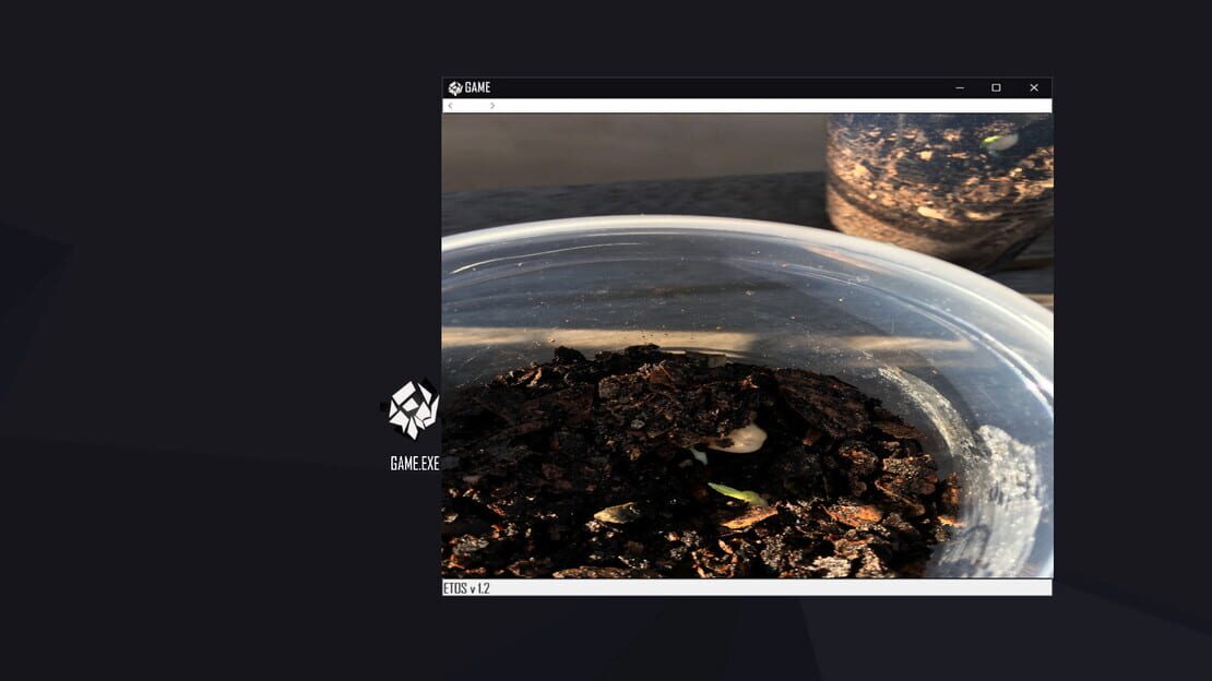 游戏截图 图片