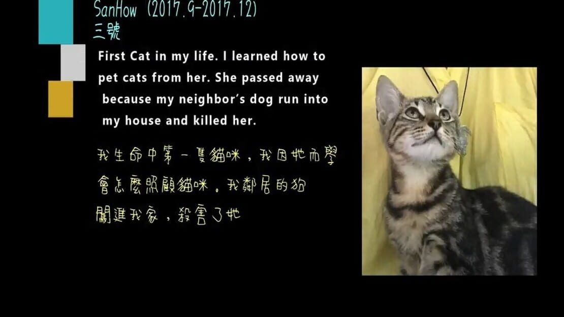 游戏截图 图片