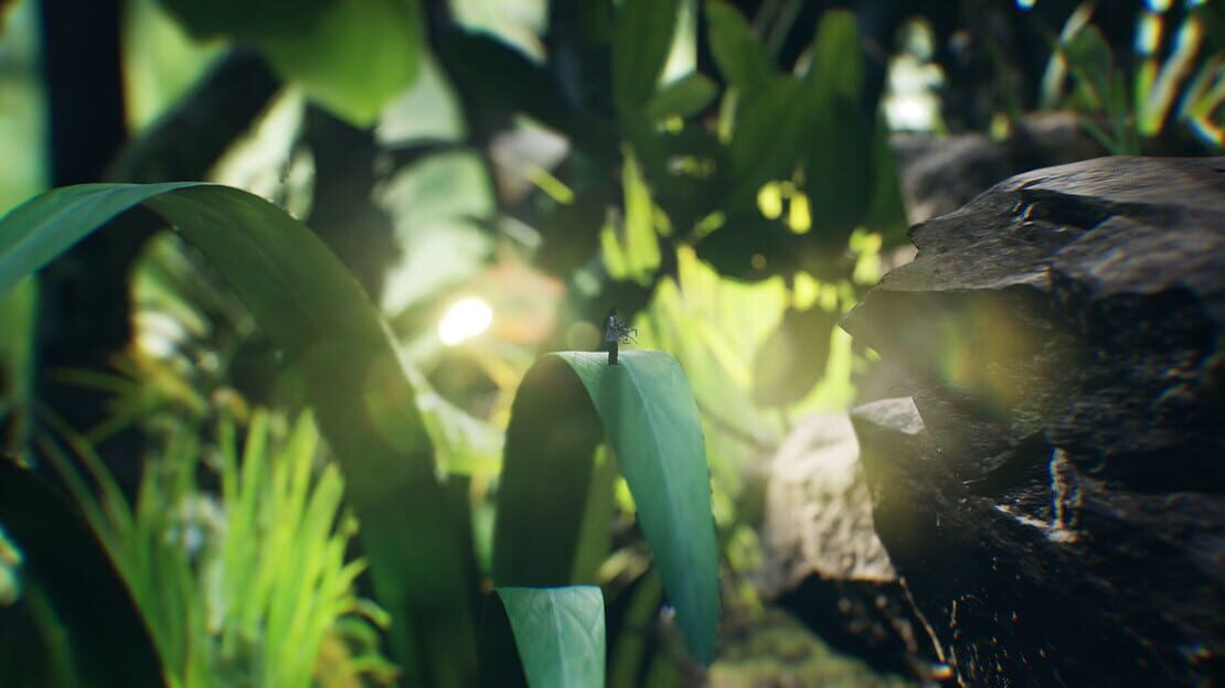 游戏截图 图片