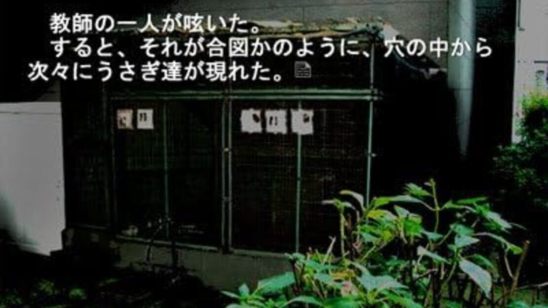 游戏截图 图片