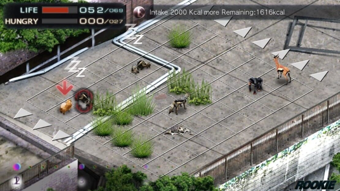 游戏截图 图片
