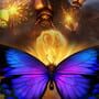 Flutter Bombs artwork 1