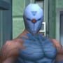 Gray Fox