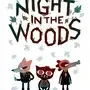 Night in the Woods