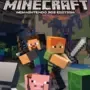 Minecraft New Nintendo 3DS Edition