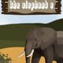 Cover thumbnail for The Elephant E