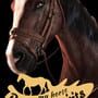 Cover thumbnail for My Horse: Bonded Spirits