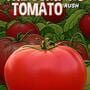 The Jumping Tomato Rush