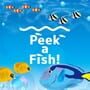 Cover thumbnail for Peek a Fish!
