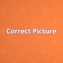 Cover thumbnail for Correct Picture
