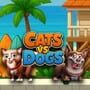 Cover thumbnail for Cats vs. Dogs