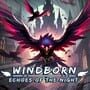 Cover thumbnail for Windborn: Echoes of the Night
