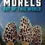Morels: Out of this World