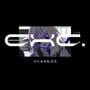 Exc.: Reigai Jishou Kanshikyoku