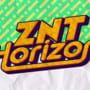 ZNT Horizon 2025