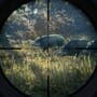 TheHunter: Call of the Wild