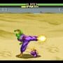 Dragon Ball Z: Super Butouden 2