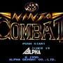 Ninja Combat