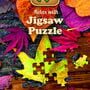 Jigsaw Puzzle Pro