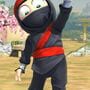 Clumsy Ninja