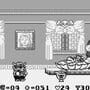 Wario Land: Super Mario Land 3