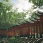 Explore Fushimi Inari