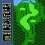 NES Open Tournament Golf