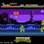 Teenage Mutant Ninja Turtles: Tournament Fighters