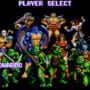 Teenage Mutant Ninja Turtles: Tournament Fighters
