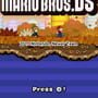 Newer Super Mario Bros. DS