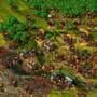 The Settlers III: History Edition