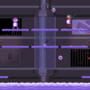 codename mallow ss 2
