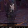 Neverwinter Nights: Witch's Wake