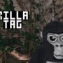 Gorilla Tag