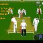 Allan Border's Cricket