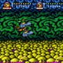 Battletoads In Battlemaniacs