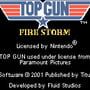 Top Gun: Firestorm