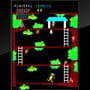 Arcade Archives: Kangaroo