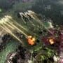Warhammer 40,000: Gladius - Relics of War: Specialist Pack