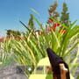 The Z Land: FPS Survival