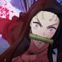 Demon Slayer: Kimetsu no Yaiba - The Hinokami Chronicles