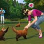 The Sims 4: Plus Cats & Dogs Bundle