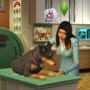 The Sims 4: Plus Cats & Dogs Bundle