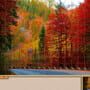 Jigsaw Puzzle Pack: Pixel Puzzles Ultimate - New England Fall