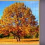 Jigsaw Puzzle Pack: Pixel Puzzles Ultimate - New England Fall